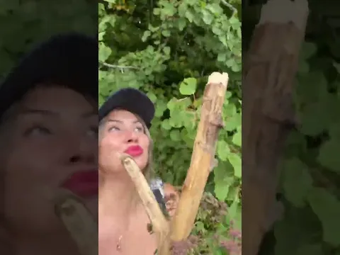 Жить в лесу!)