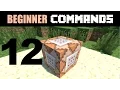 Beginner Command Block Tutorial Part 12 - Introduction to Data Tags