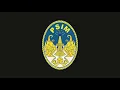 Download Lagu Anthem PSIM Jogja - Aku Yakin Dengan Kamu Instrumental