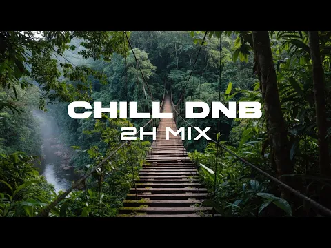 Liquid DnB Into The Wild 🌿 2 Hour Deep jungle Mix