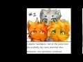 Warrior Cats Confession - Needlepaw s potential