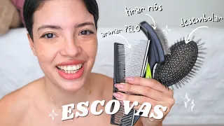 GUIA COMPLETO: Escovas para Cães e Gatos