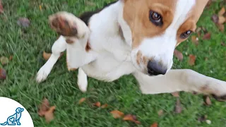 3 People Who Are Ruining Your Jumping Training