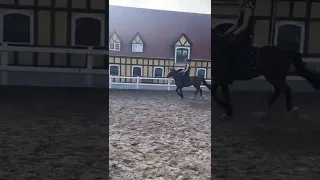 YouTube Shorts SHORT 