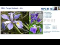 QML School Day 4 Introduction to Quantum Neural Networks Workshop by Weixi Zhang
