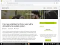 WordPress Theme Development Adding Scripts Stylesheets with WP header footer enqueue