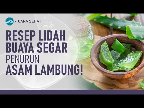 Enak dan Mudah! Resep Minuman Lidah Buaya Untuk Asam Lambung