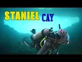 Diving Thunderball Grotto in the BAHAMAS E242