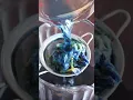 Download Lagu How to use butterfly pea flower
