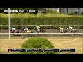 2025 Hastings Stakes