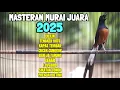 Download Lagu MURAI BATU MASTERS KUNNEN ALTIJD GEMAKKELIJK ANDER MURAI BESTE MATERIAAL IMITEREN