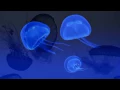 Download Lagu JEAN MICHEL JARRE ~ Waiting For Cousteau (En Attendant Cousteau)
