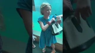 CeCe Rose TV Seneca Park Zoo Sea Lions