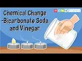 Chemical Change - Bicarbonate Soda and Vinegar