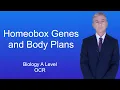 Download Lagu A Level Biology Revision (Year 13) \