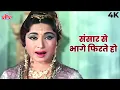 Lagu Chitralekha (1964) Classic | संसार से भागे फिरतो हो | Lata Mangeshkar’s Heartfelt Song |Meena Kumari