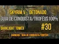 Skyrim - 30