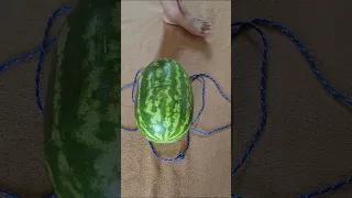 حيلة ذكية لحمل الدلاح بلا مجهود خيط واحد يكفي 