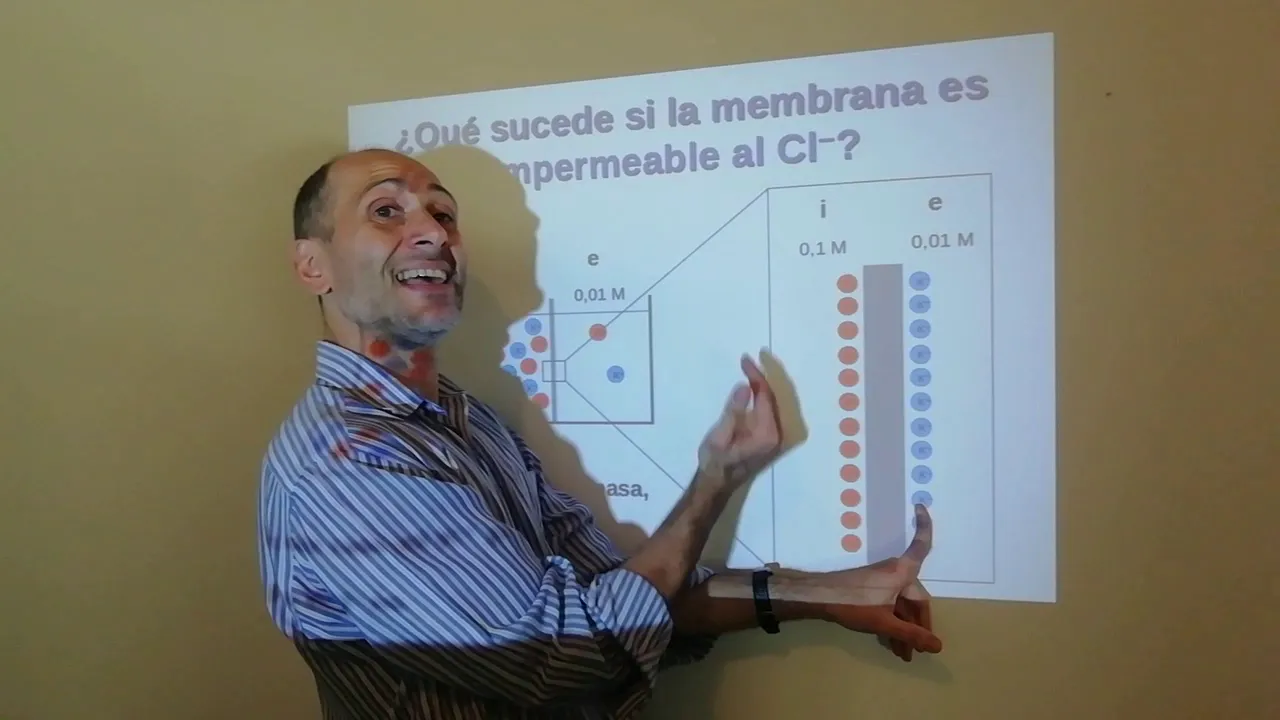 Bioelectricidad. Parte 1: Potencial electroquímico