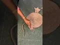 handmade beautiful clock the creative ideas