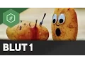 Structure and function of blood - Blood Part 1