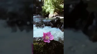 ضربة الروح المها باقي الشيخ احمد الوائلي  ضربة الروح المها باقي الشيخ احمد الوائلي