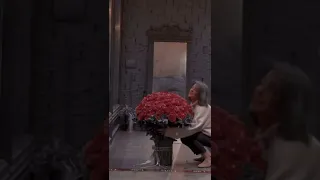 حالات واتس اب غرور بنات بدون حقوق ورد 