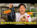 Download Lagu BELI IKAN GABUS TERBESAR DALAM PLASTIK BUAT PELIHARAAN DI RUMAH! MERPATI AKU LAGI-LAGI MENETAS!
