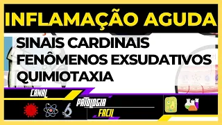 Inflamação Aguda - Aula completa - Patologia Geral