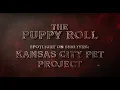 KC Pet Project Shelter Spotlight