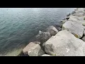 Pilgrims First Landing Park