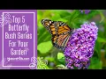 Top 5 Butterfly Bushes For Your Garden NatureHills com