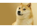 Doge Clicker - Beta