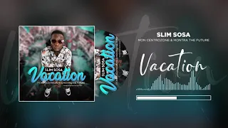 slim sosa vacation feat moni centrozone u0026 montra the future audio visual 