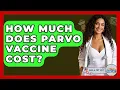How Much Does Parvo Vaccine Cost - Ask A Pet Vet
