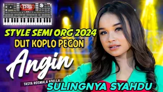 Download ANGIN - STYLE SEMI ORG 2024 - DANGDUT KOPLO PEGON - SULINGNYA SYAHDU // DSIPROJECT #24 MP3