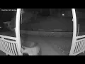 Surveillance captures roaming mountain lion in Pollock Pines