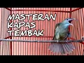 Lagu KAPAS TEMBAK \