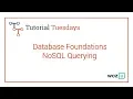 Woz U Learn to Code Database Foundations - NoSQL Querying