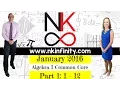 NYS Algebra 1 - Common Core January 2016 Part 1 Problems 1
