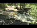 Santa Fe River levels and flow highest and fastest seen in years due to wet summer