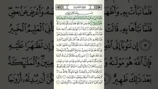 ترتيل سوره التحريم دندنها