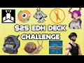 I Challenged 10 Creators to make a 25 EDH Deck