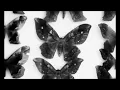 Oliver Tank - Last Night I Heard Everything In Slow Motion