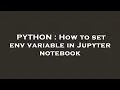 PYTHON How to set env variable in Jupyter notebook