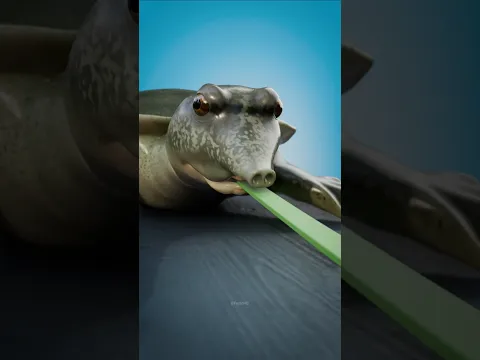 #edit
