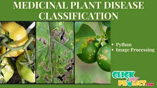 Python Machine Learning - Project Medicinal Plant Disease Classification