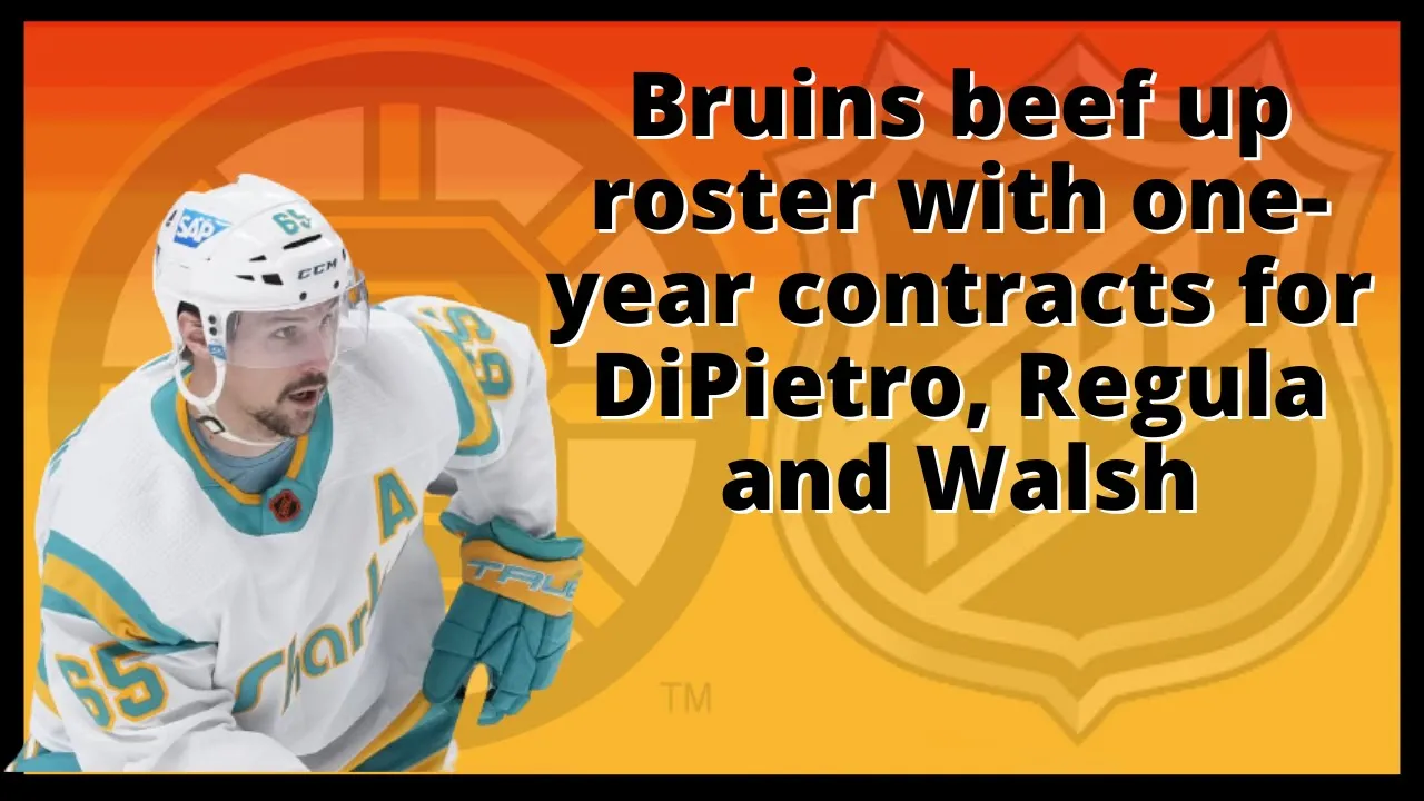 Bruins beef up roster with one year contracts for DiPietro, Regula and Walsh