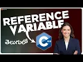 Reference variable as parameters C in Telugu
