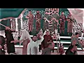 فرحه مهداويه ♥️🌹 مولد الامام المهدي (عج) سيد فاقد